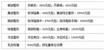 武汉艺星医疗医院整形项目价目表