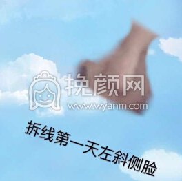 长沙新发现王先成硅胶*