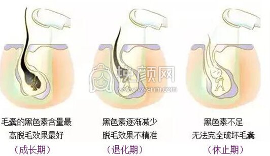 春暖花开，雅美脱毛18元限时抢！