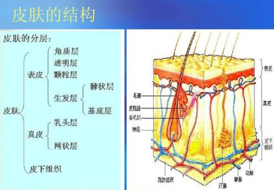 北京欧华整形医院激光美容怎么样？