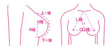 别在为胸小自卑了，也许你的乳房刚刚好呢？