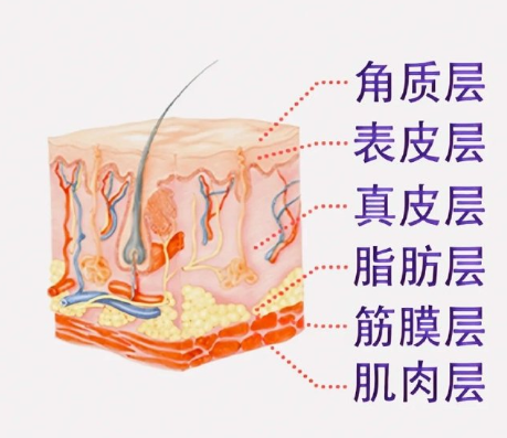 小切口拉皮除皱*果怎么样？